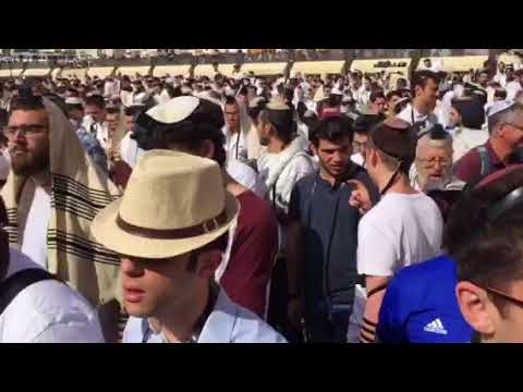 Hallel at the Kotel on Jerusalem Day