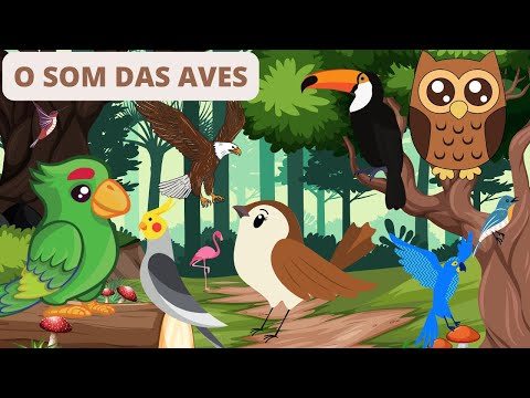 O SOM DAS AVES - EDUCAÇÃO INFANTIL