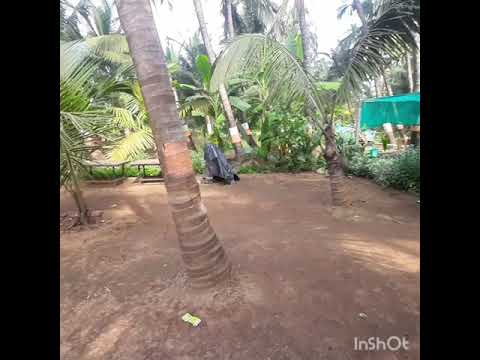 Anjarle Beach || Ketki Beach || Kokan || Ratnagari