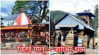 Golu Devta Mandir Chitai Almora | चमत्कारों वाला मंदिर | Jageshwar Dham Uttarakhand | Temple | Vlogs