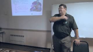 Métodos educativos dos Escoteiros do Brasil - Luiz Horn