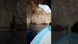 When your shore excursion is 10/10! 🔥 #cruise #shorts