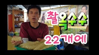 옥수수 수확,옥수수 최고로 맛나게 삶는법,옥수수 보관법 a meal a day