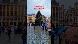 Brussels at Christmas: Waffles, Chocolate & Lights! 🎄✨ #shorts #christmas #travel #belgium