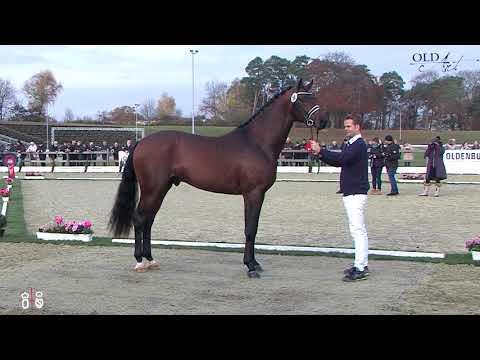 Blue Hors Feinstar v. Farell - Bon ´A Parte - Landsieger