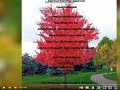 Higglytown Heroes Credits Shorts 2005