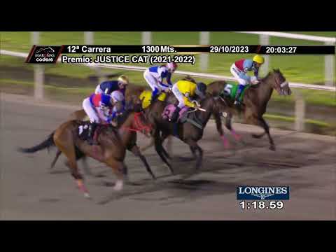 231029 c12 AMY WINEHOUSE