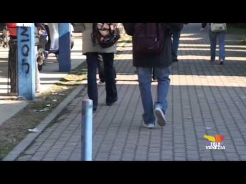 Spari alla Gazzera e bullismo