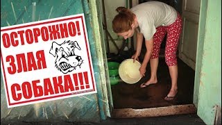 Боремся с водой! Мика TV звезда 🌟, но такая злая!