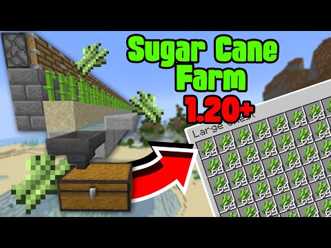 RealJayden - How to Make Easy Automatic Sugar Cane Farm Minecraft 1.20 |  Java & Bedrock Edition