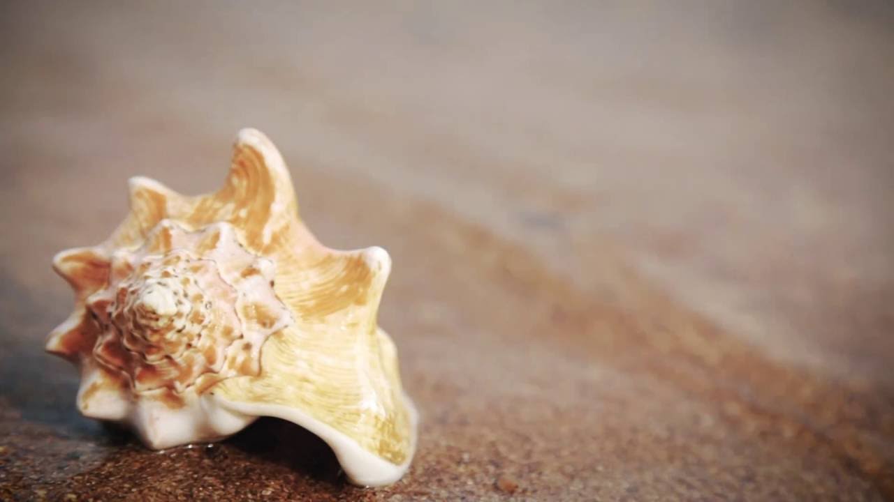 Company Profile - Effepi Security Doors - Porte blindate Made in Italy