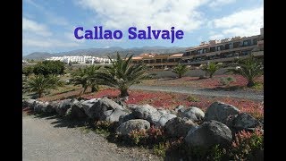 preview picture of video 'Callao Salvaje, Costa Adeje - Tenerife'