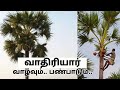 வாதிரியார் வாழ்வும்..பண்பாடும்.. சின்னத்தம்பி குஞ்சையாபுரம் தமிழர் வாழ்வியல் அறிதல்