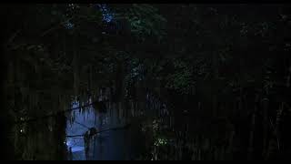 Blues Brothers 2000 - season of the witch / alligators scene