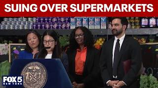 Group suing over Mamdani's city-owned grocery store plan