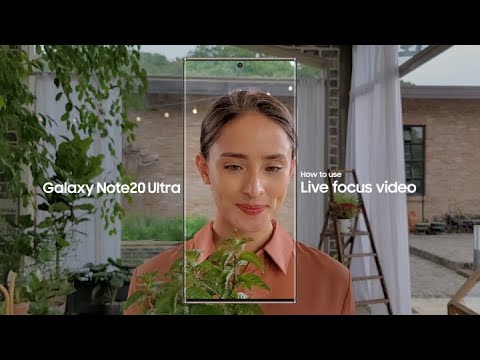 Video preview
