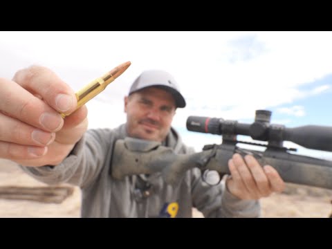 The Truth About 308 For Hunting