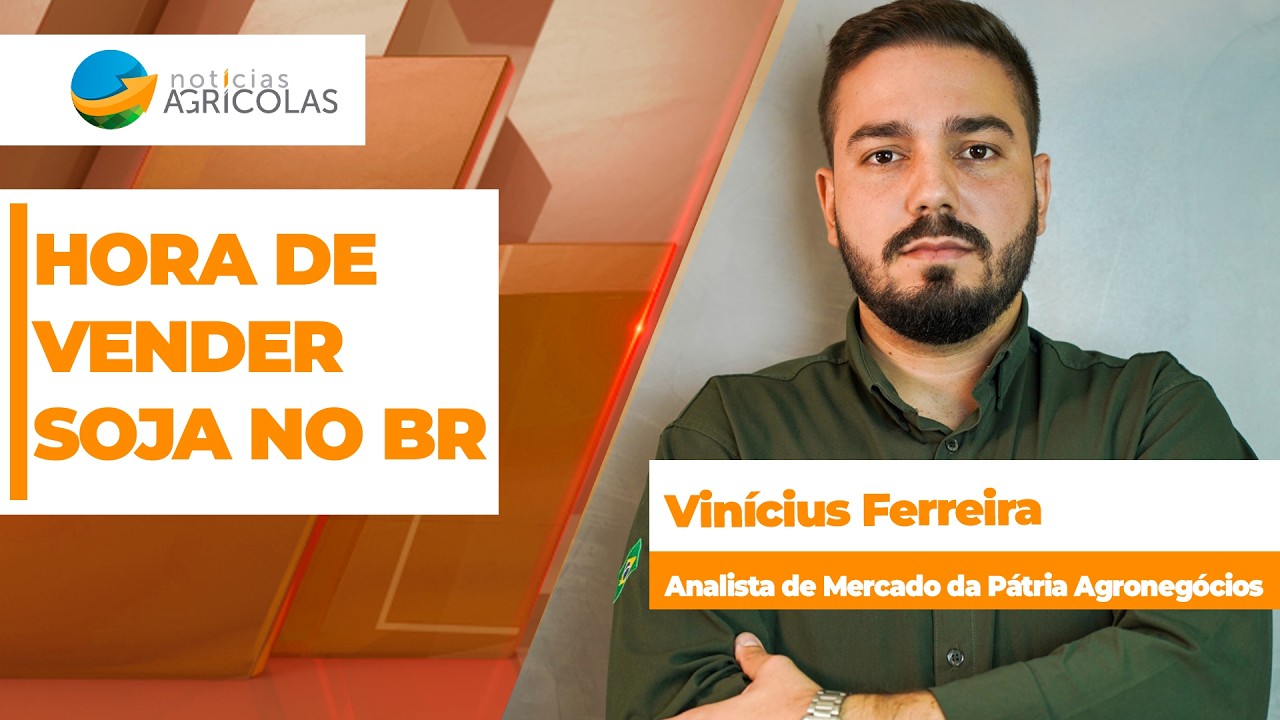 Preços da soja seguem dando oportunidade de vendas no Brasil, seja por Chicago ou pelo dólar