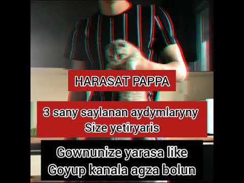 Harasat-Top 3 sany aydym