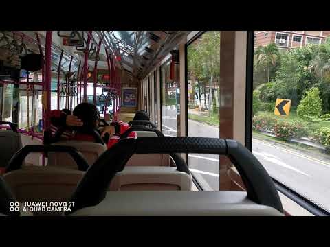 SBS Transit Scania K230UB Euro V Gemilang SBS8675B On Service 116