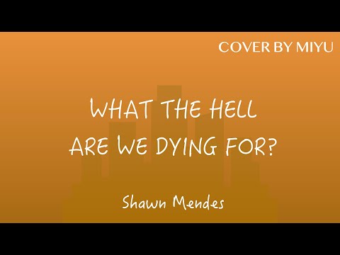 WHAT THE HELL ARE WE DYING FOR? - Shawn Mendes (Cover by Miyu)