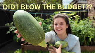 Can I Make a Vegetable Garden for Under £100? | Easy DIY Garden Project 🌱