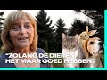 Dierenvrienden kopen VAKANTIEPARK om HONDENPARADIJS te maken | Ik Vertrek