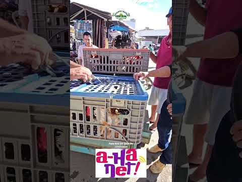Feira livre em Iguaí-Ba