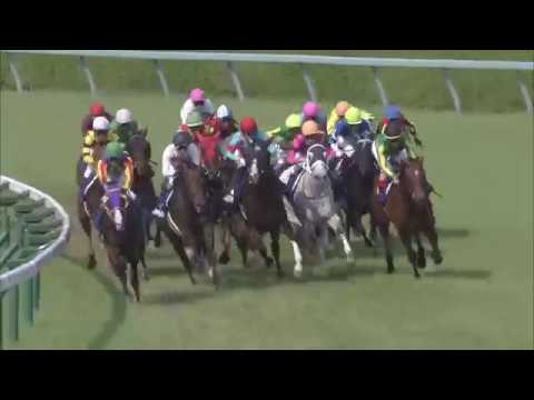 2018 Takarazuka Kinen (G1)