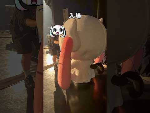 着ぐるみ入退場リハーサル！（ピノキオピー目線） #ピノキオピー #アイマイナ #どうしてちゃん #CREATURES