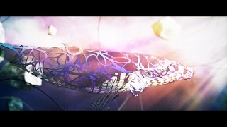 Akira Kosemura - South Wind feat. nikiie (Official Music Video)
