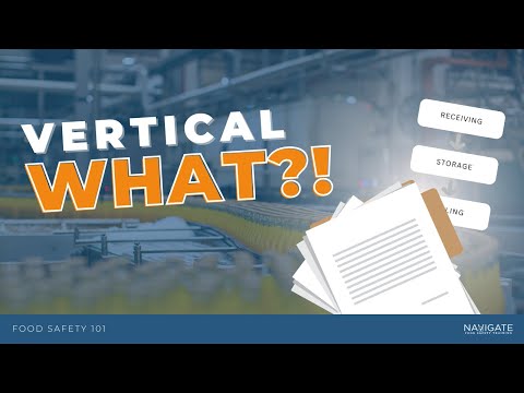 What Is a Vertical Audit?