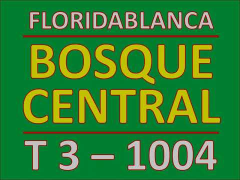 Amoblados Bosque Central | 3-1004 | Frente a Foscal y HIC