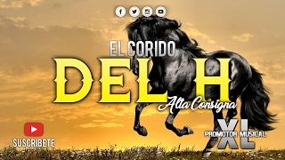 Alta Consigna - El Corrido del H (Con Tololoche) (Corridos Nuevos 2017)