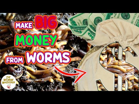 , title : 'How to MAKE MONEY from a WORM FARM'
