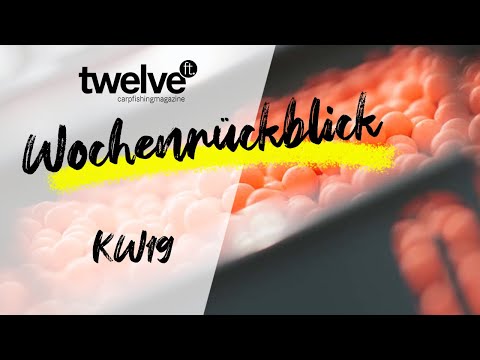 12ft Mag Wochenrückblick KW19 | 3 Fehler in der Laichzeit | Kryston | Bait Fabrik | Boilies in 2021