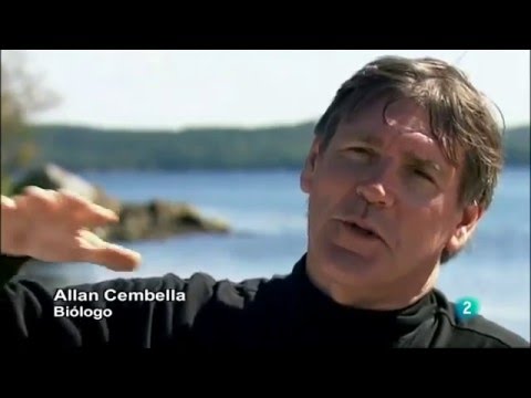 Las Plagas Bíblicas - Documental Completo