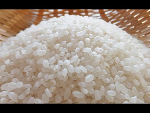 『ココカラ』Research5【一粒のお米から中国文明の源流が見えてくる！】/金沢大学研究紹介動画