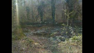 preview picture of video 'Photos of rivelin with my satio'