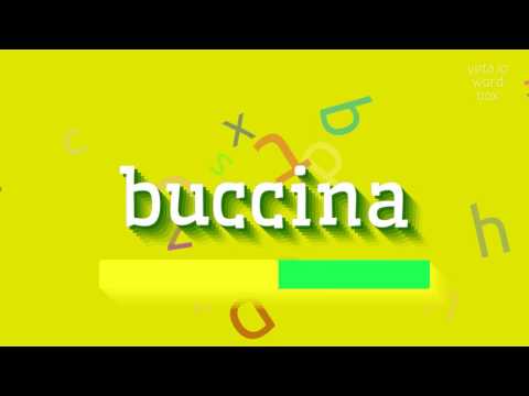 How to say "buccina"! (High Quality Voices)