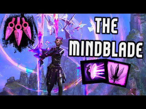 Thousand Cuts Virtuoso [DPS] | GW2: End of Dragons PvE Build