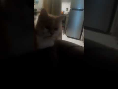 Happy Birthday Nimmi