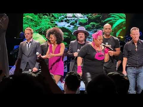 Zucchero, Sting, Bruce Springsteen, Bob Geldof, Annie Lennox, Shaggy - Rainforest Fund New York