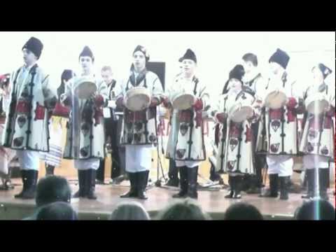 Ansamblul Zarandul Arad