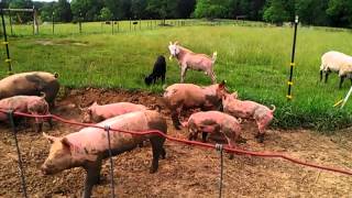 Anschuetz Farm