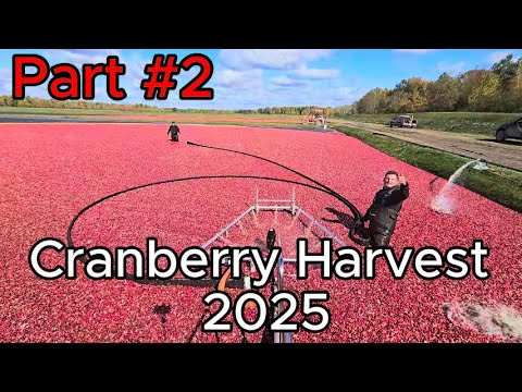 Part #2 Cranberry Harvest 2025, Brand new berry pump and more!