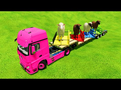 TRANSPORT SHEEPS WITH ZETOR, ISEKI & VALTRA TRACTORS - Farming Simulator 22