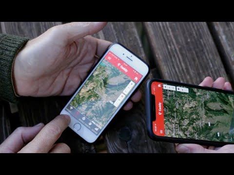 BENELLI CADDY | Il collare satellitare GPS per cani da caccia..