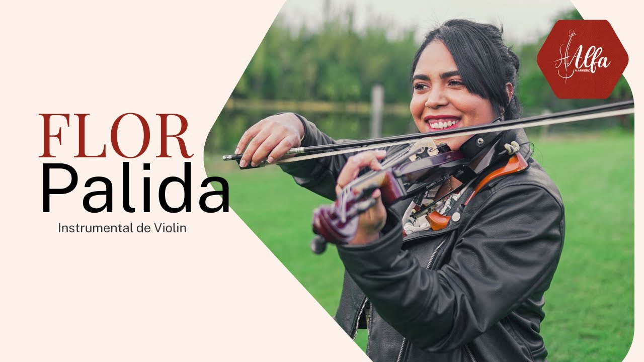 Promotional video thumbnail 9 for Live Violinist