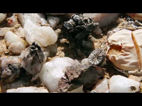 FWU - Naturlandschaftszonen: Die Tropen - Trailer